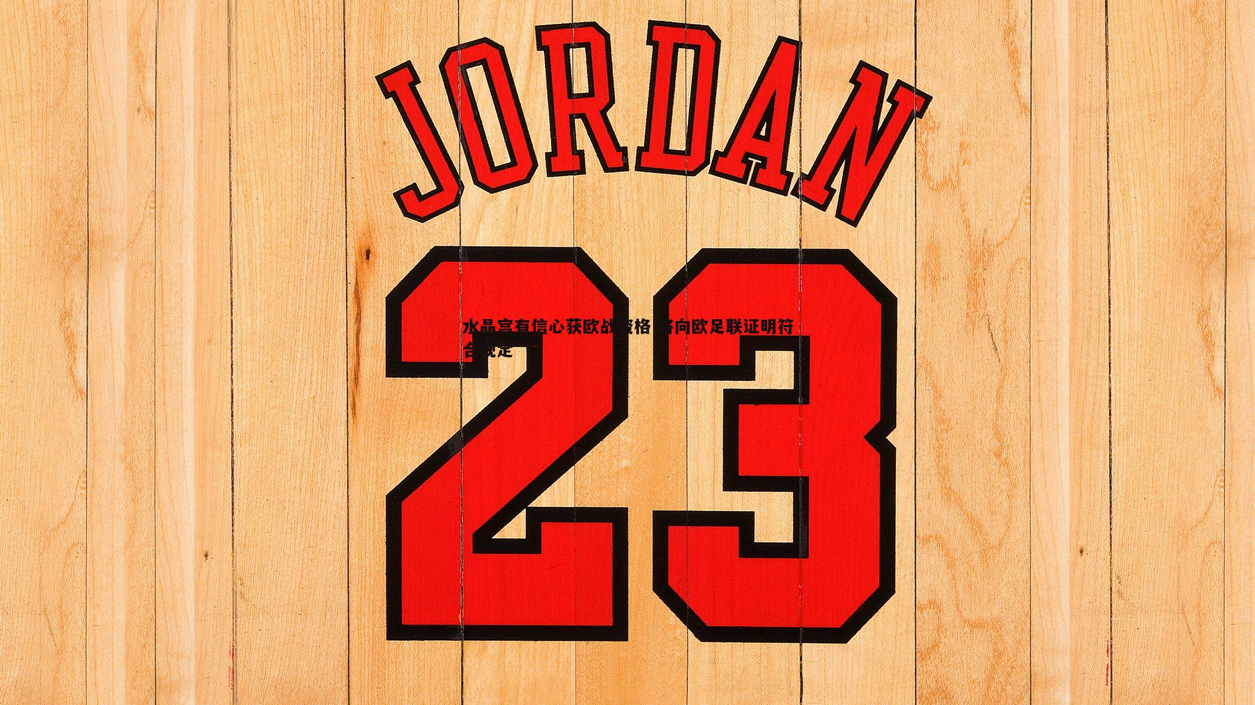 球探体育-水晶宫有信心获欧战资格 将向欧足联证明符合规定