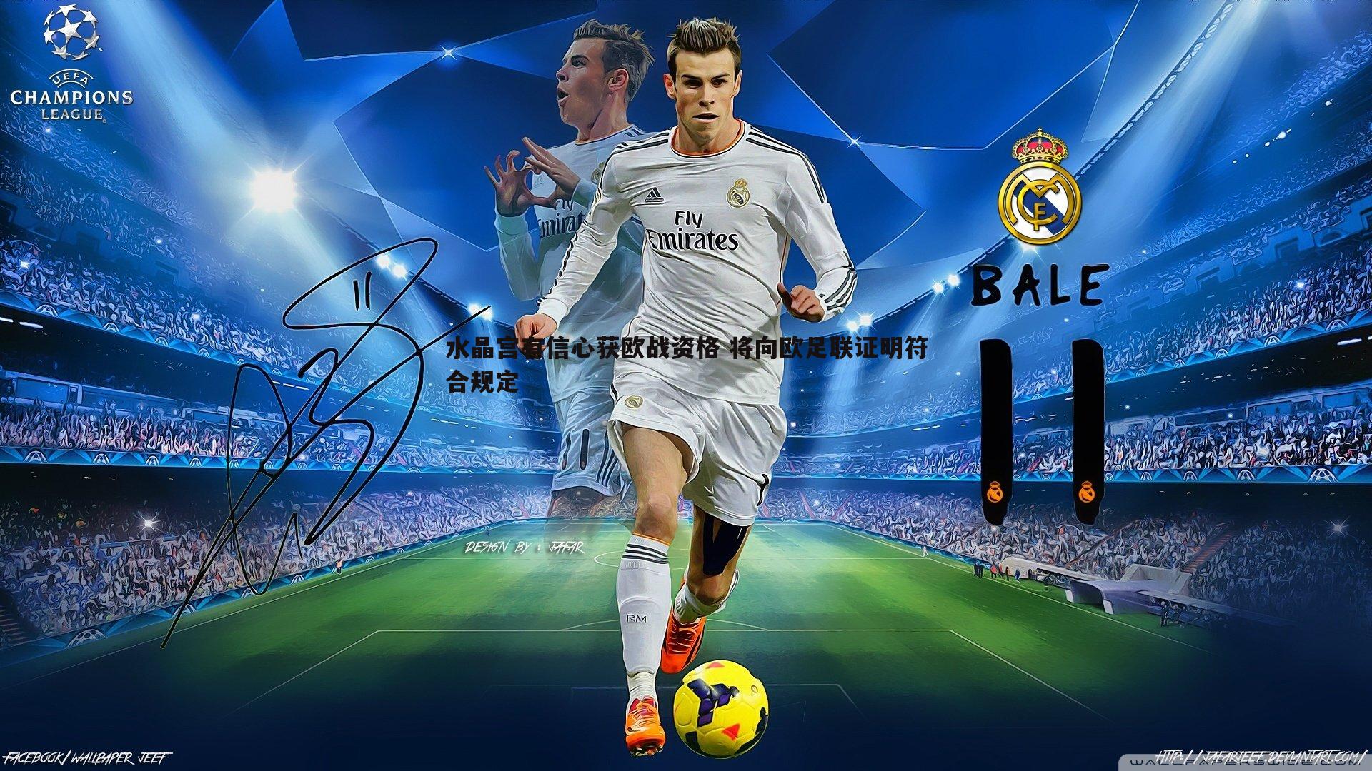 水晶宫有信心获欧战资格 将向欧足联证明符合规定